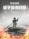 我加载了氪命流面板