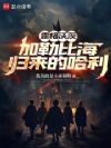 霍格沃茨:加勒比海归来的哈利