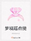 梦境巡查使