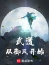 武道从御风开始
